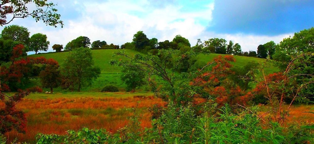 Fortview House Redhills Esterno foto